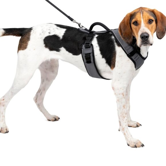 PetSafe EasySport Dog Harness, Adjustable, Padded with Handle, Reflective, Large - Picture 1 of 2